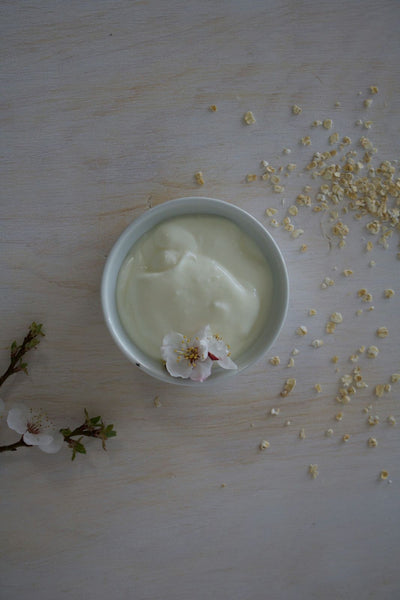 Homemade Mayonnaise Recipe